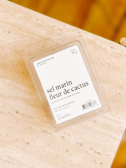 Pastilles de cire pour diffuseur - Sel marin fleur de cactus