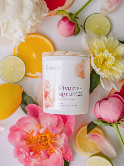 Chandelle de soya - Pivoine et agrume