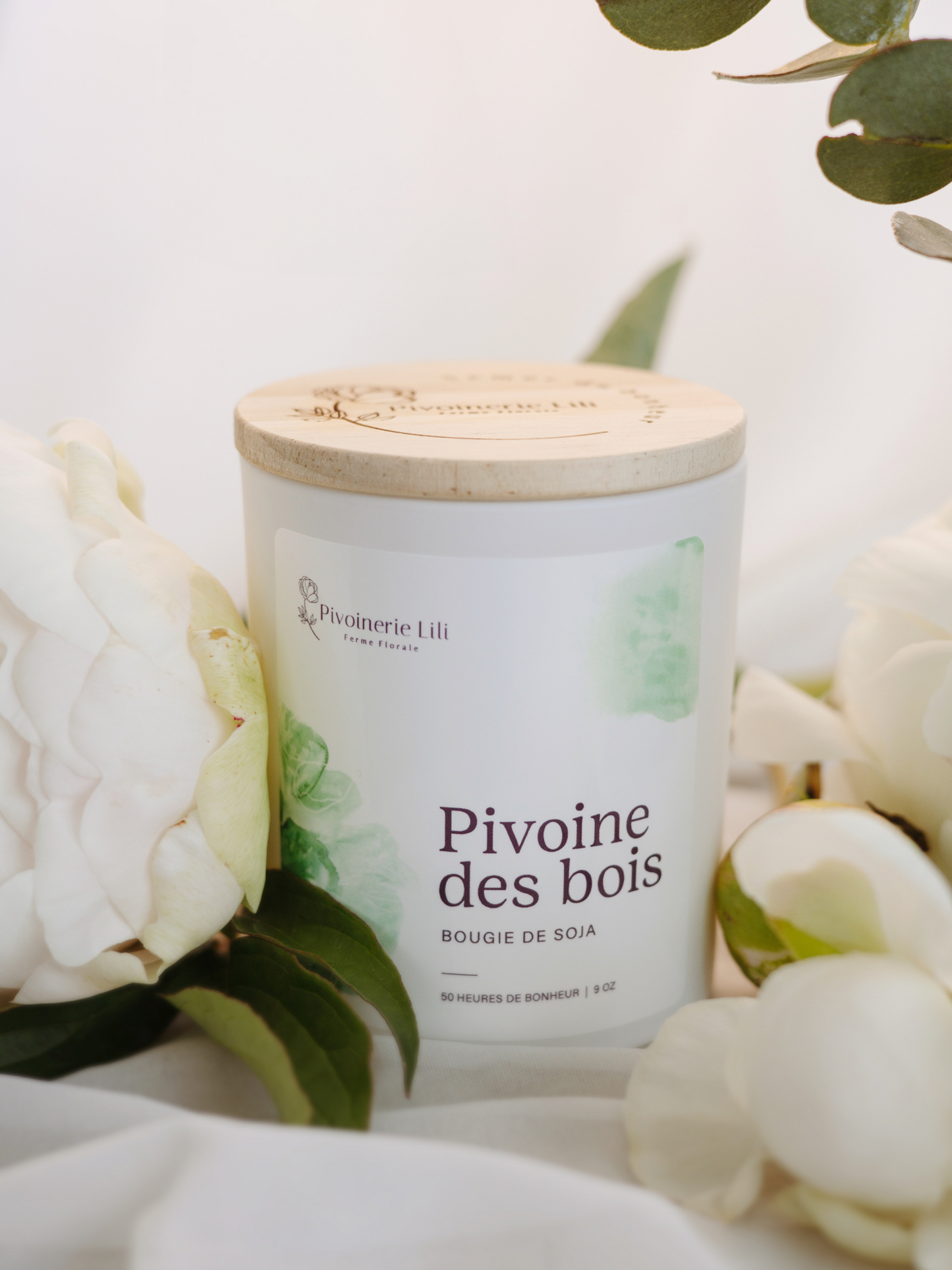 Chandelle de soya - Pivoine des bois